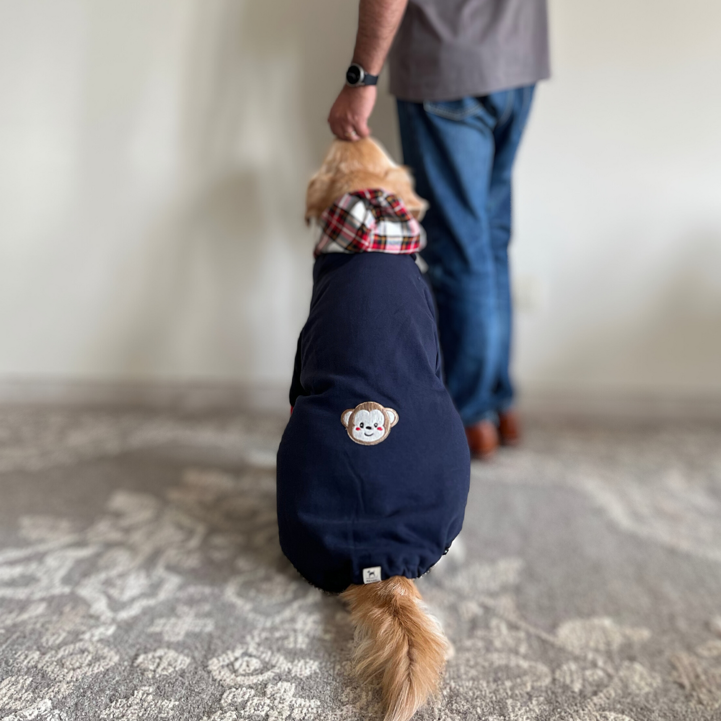 Large dog winter clothes Dubai | dog Clothes UAE