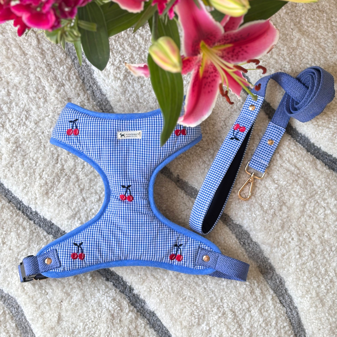 Blue dog harness | Cotton dog harness and lead set Dubai