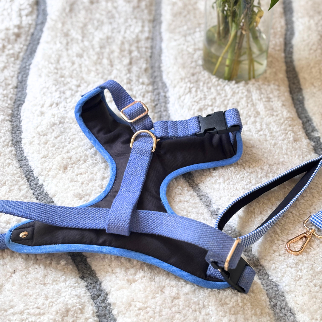 Adjustable dog harness | Cotton Dog Harness & Leash Dubai