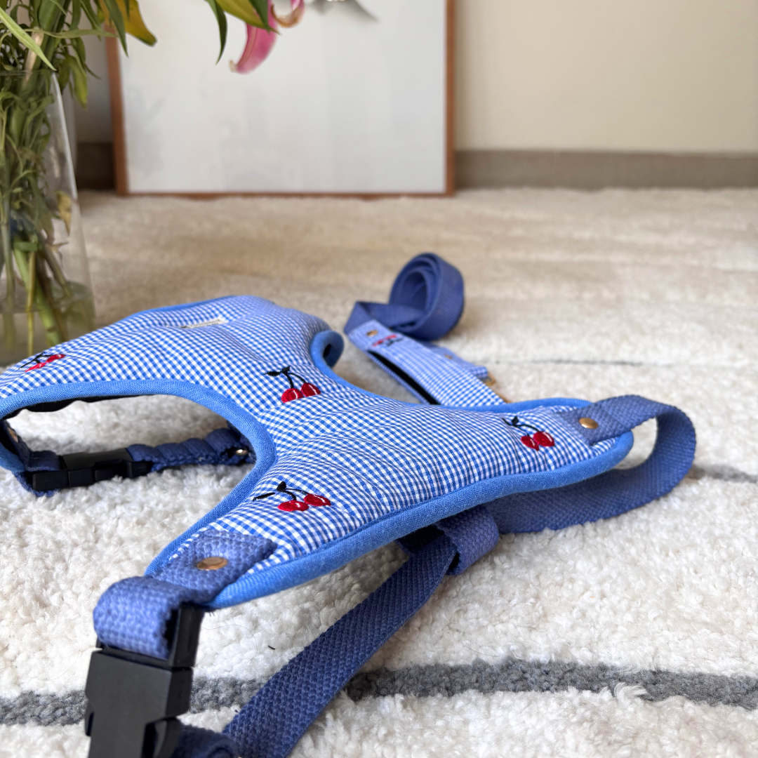 Cotton dog harness online Dubai | Dog Harness & Lead Set Dubai
