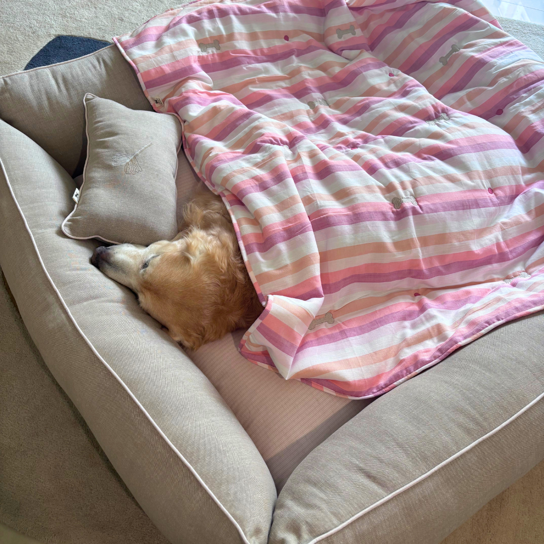 Dubai online pet store | PoochMate UAE Beds | Cotton Dog blankets Dubai | Cotton Pet blankets UAE | Soft dog blankets Dubai