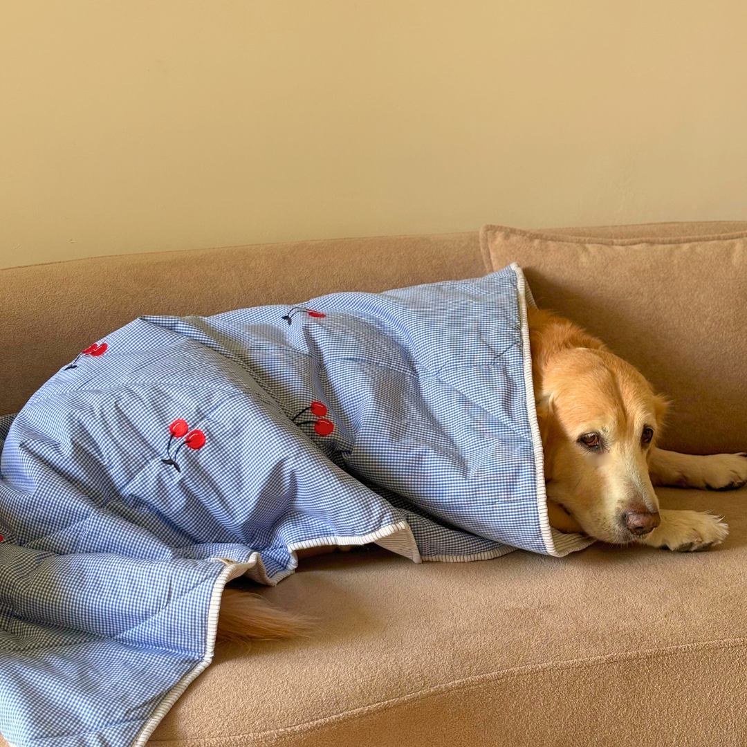 Best Cotton Pet Blankets | Soft Cotton Pet Blankets Dubai | PoochMate UAE