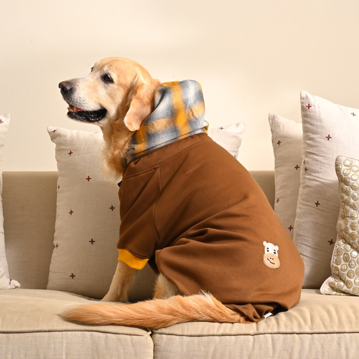 Dog Sweatshirts | Large dog clothes online Dubai
