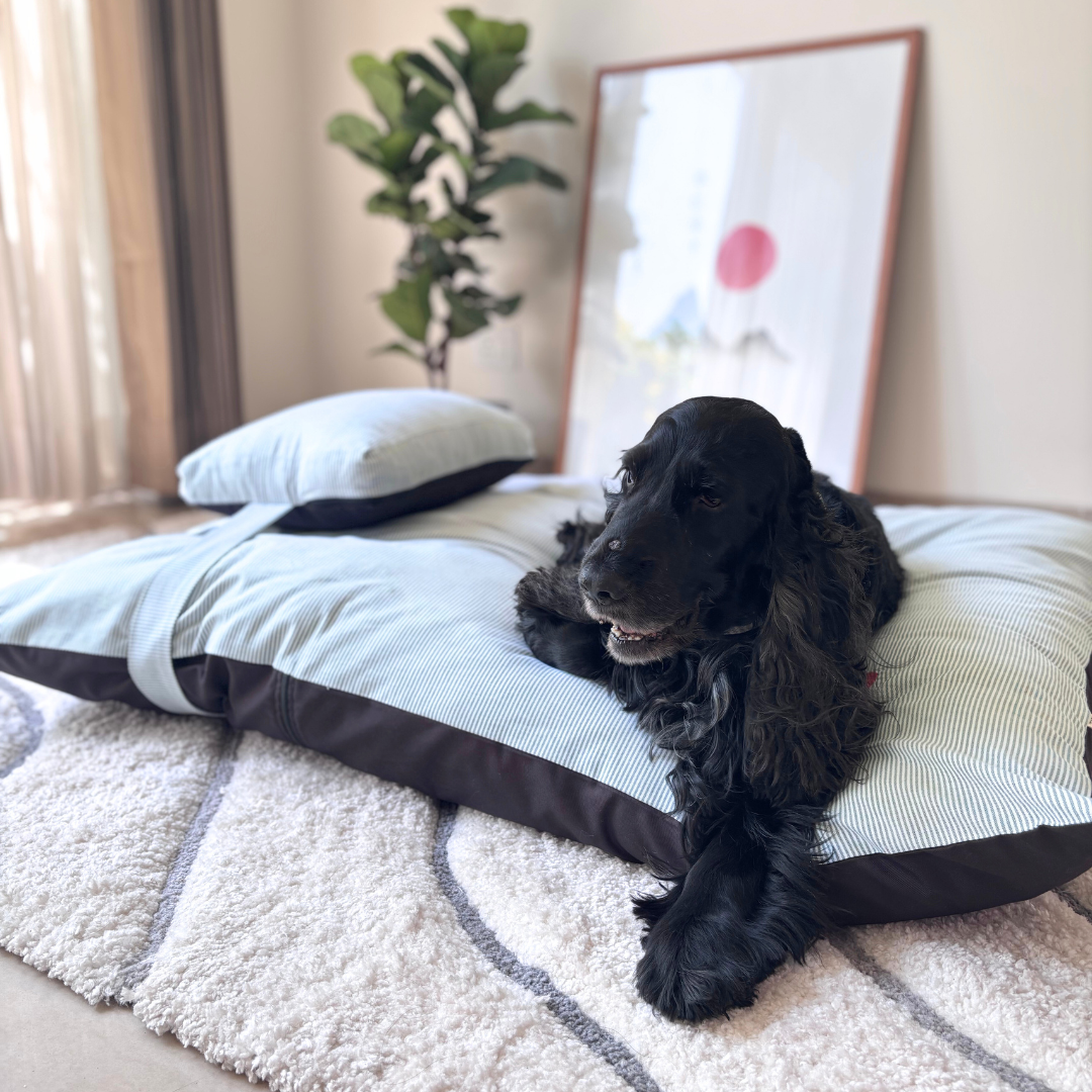 Washable dog beds Dubai | Dog beds with removable covers Dubai