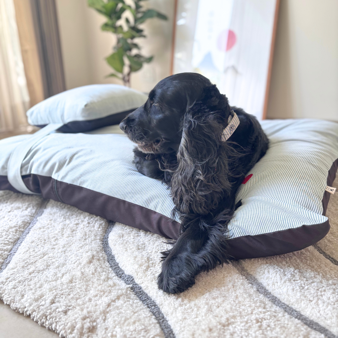 Cotton Dog Beds Dubai | Dog beds with removable covers Dubai