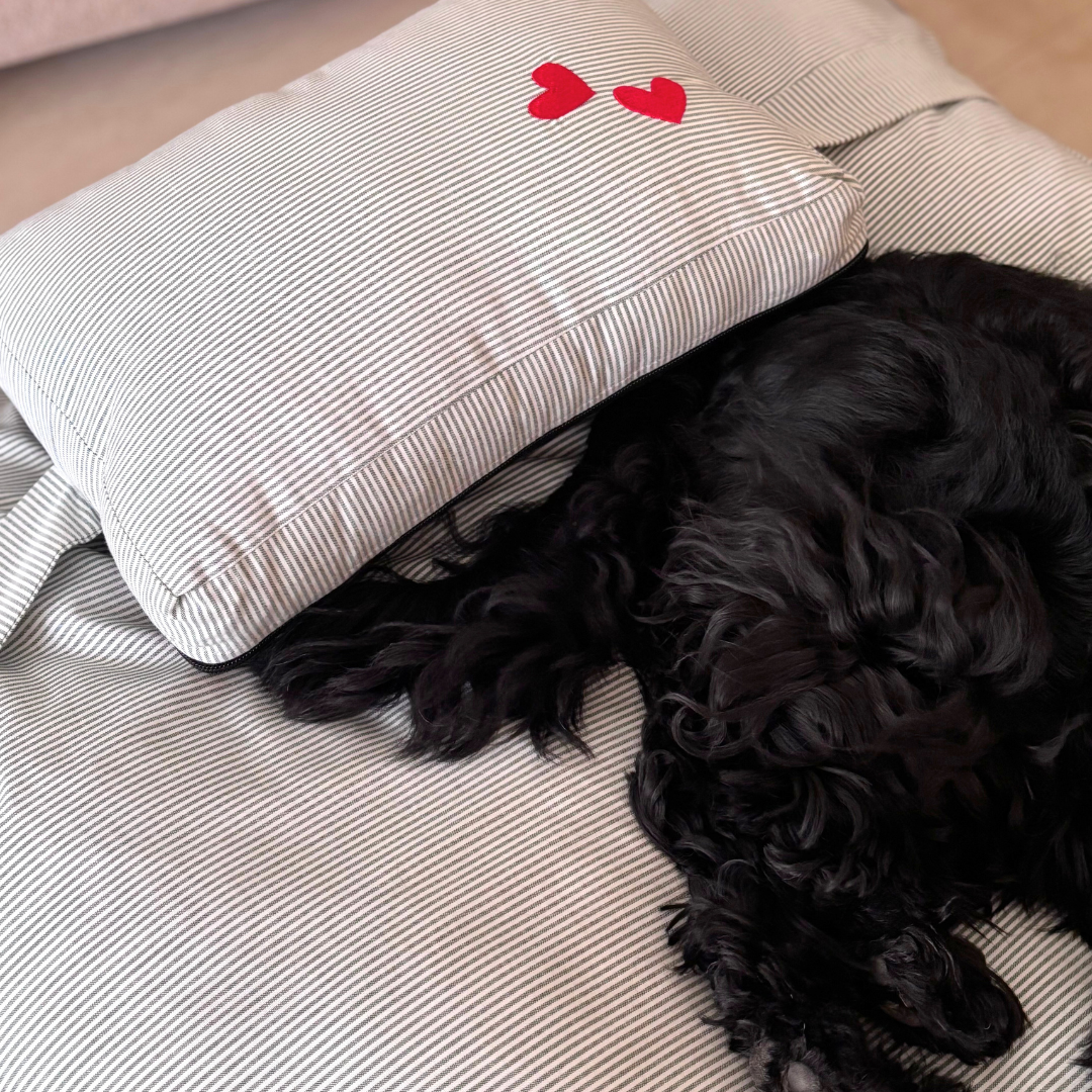 Dog bed with pillow | Washable dog beds online Dubai