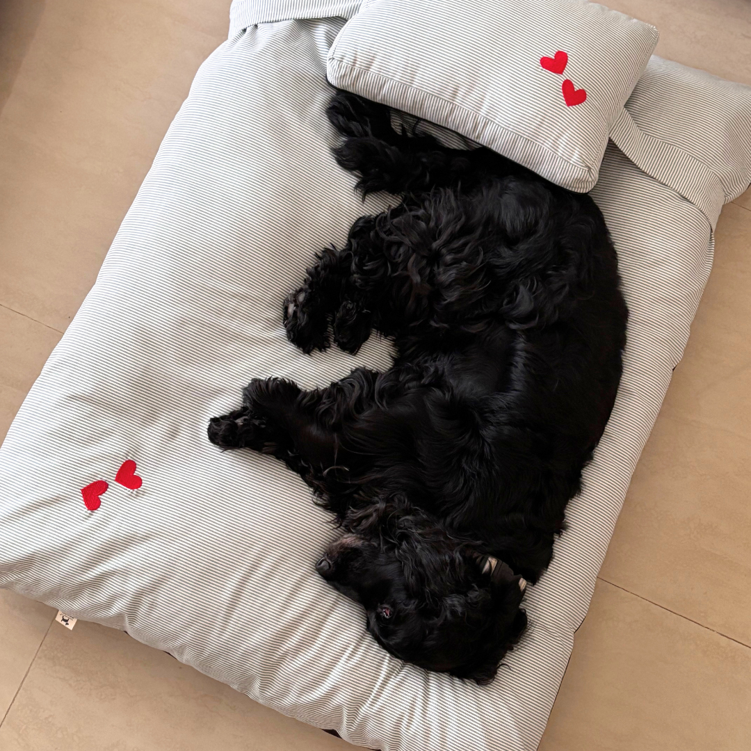 Large dog beds Dubai | Washable large dog beds Dubai