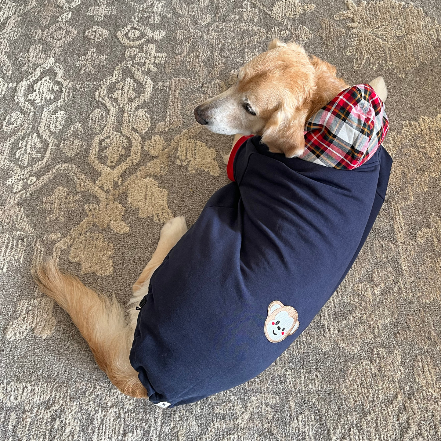 Blue dog hoodie | Dog sweatshirts Dubai