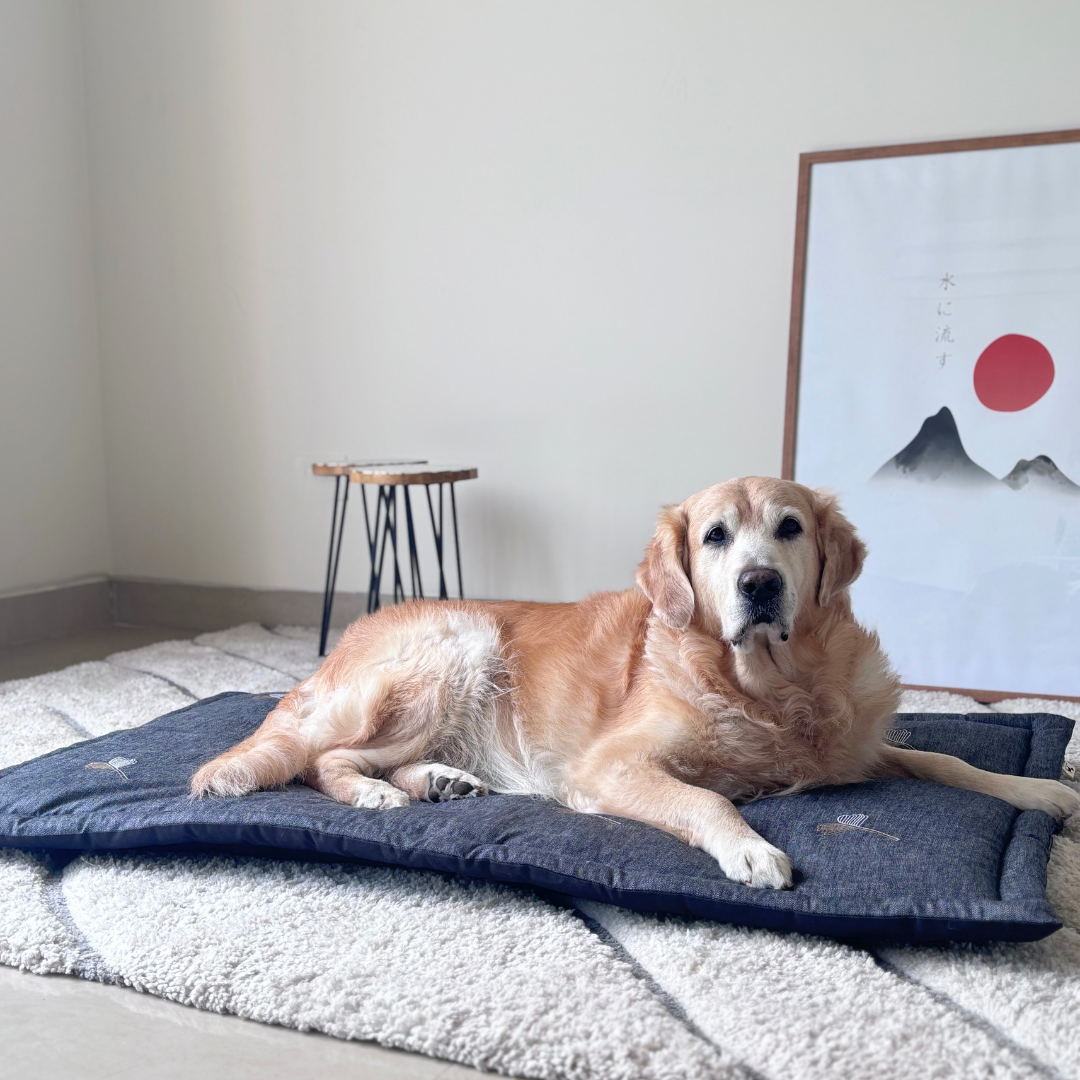 PoochMate UAE | best dog beds| best dog beds for large dogs