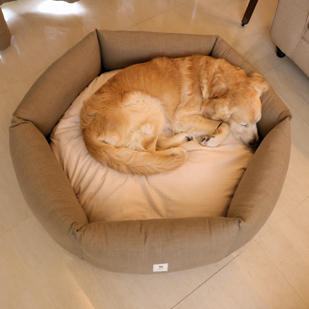 Beige dog bed| dog beds for large dogs UAE