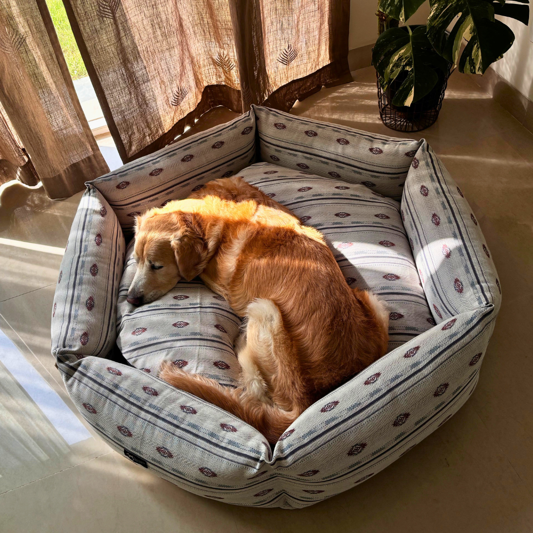 Luxury dog beds London | Washable dog beds London