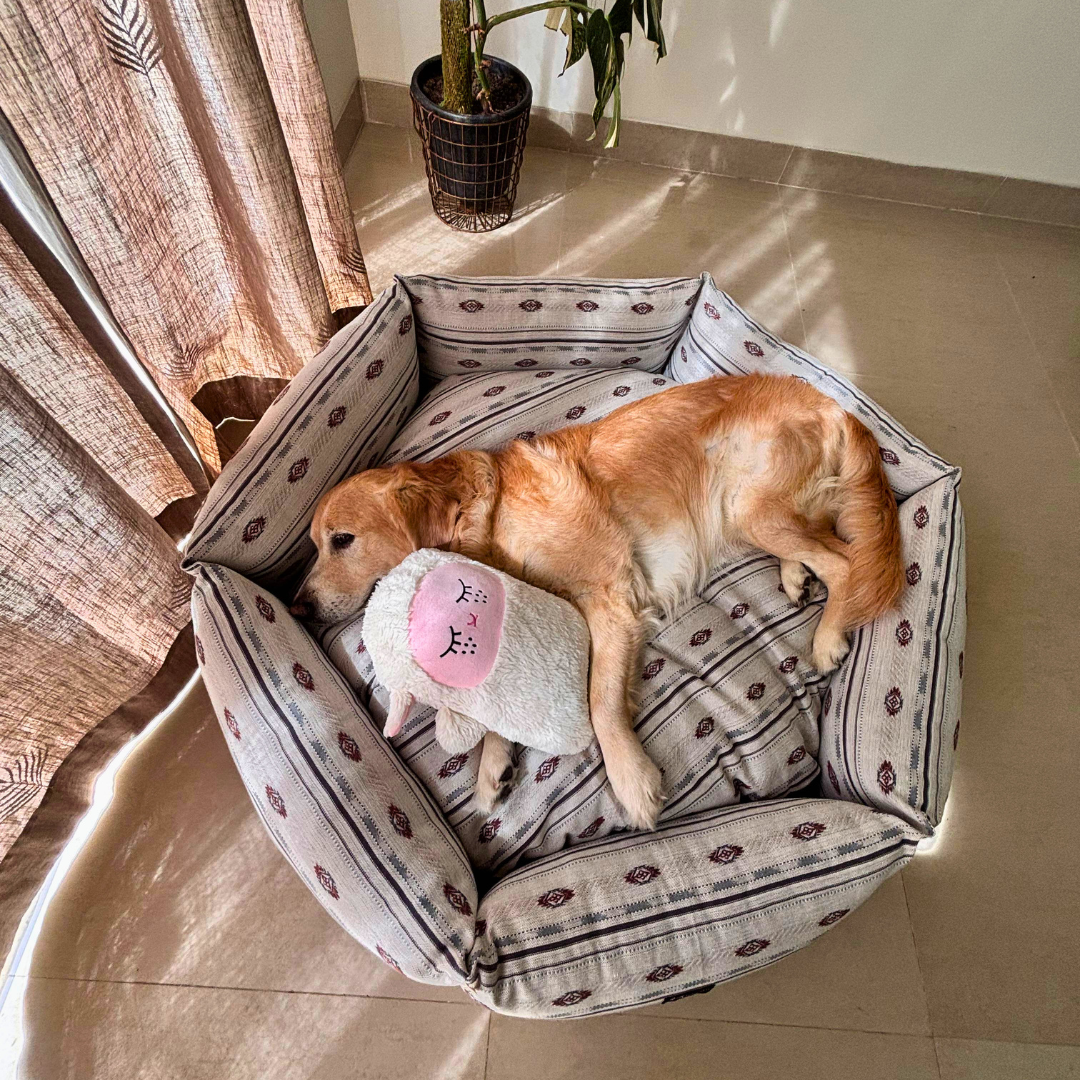 Round large dog beds Dubai |Beds for large dogs Dubai
