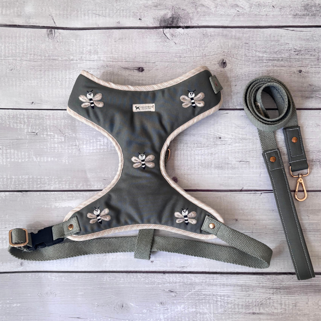 Large dog harness & Lead set online UAE | Dog Harness durable