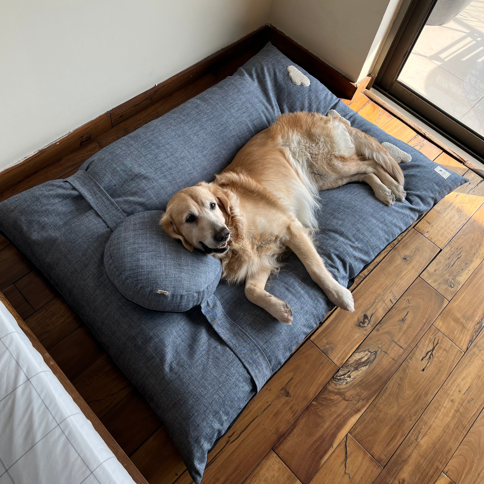 Luxury pet online beds for dogs
