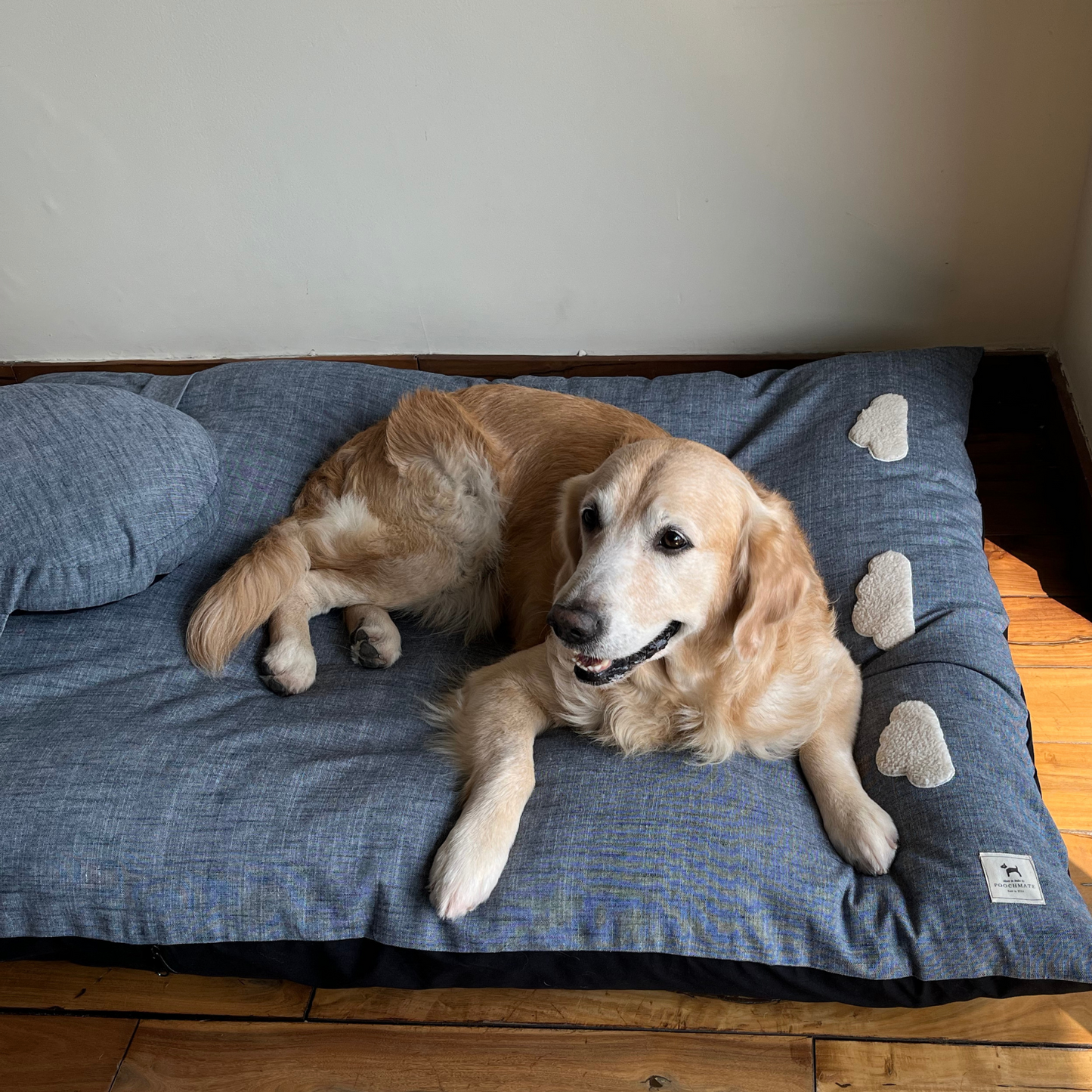 Linen Large Dog Beds | Best Dog Beds in Dubai
