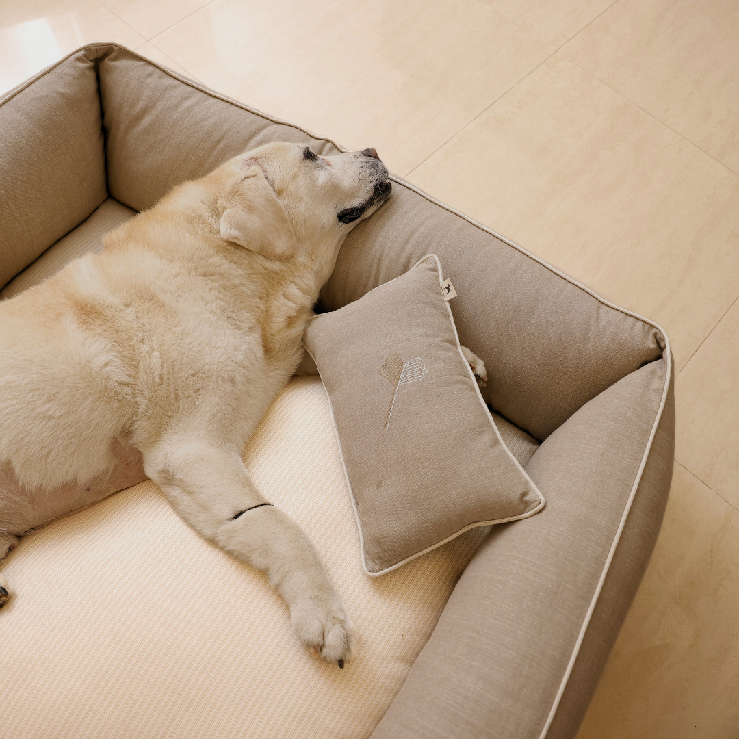 Luxury Dog beds Dubai | Cocker Spaniel Dog beds London