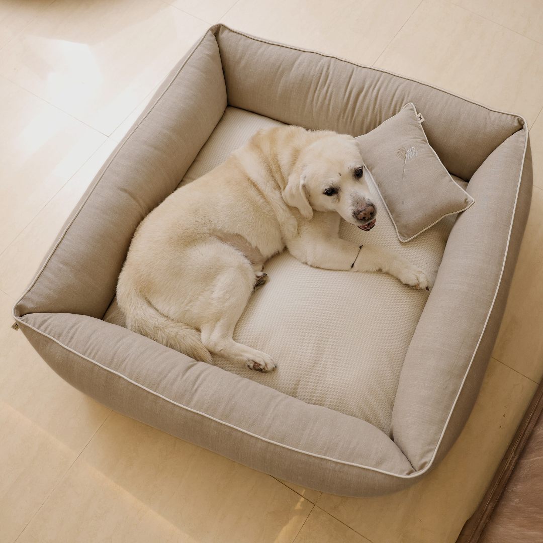 Washable dog beds online Dubai Luxury Dog Beds by PoochMate UAE
