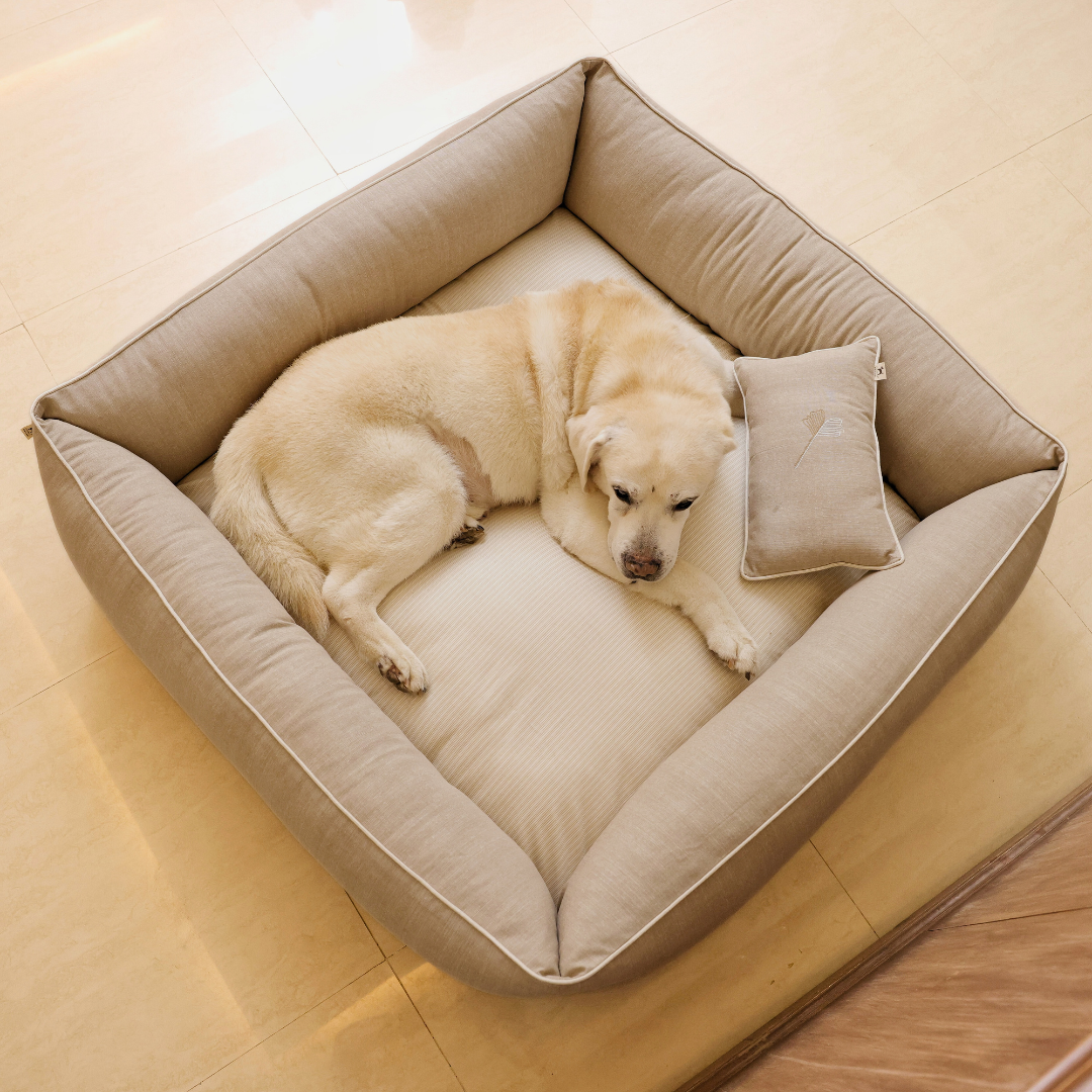 best beds for labradors London| Dog beds Online UK