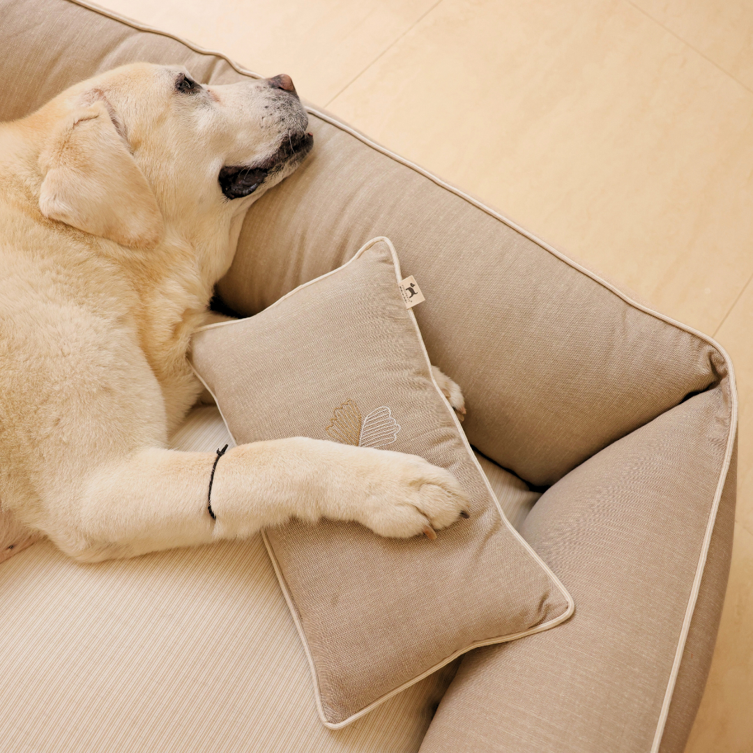 PoochMate Beige & Ivory Linen Ginkgo Dog Bed