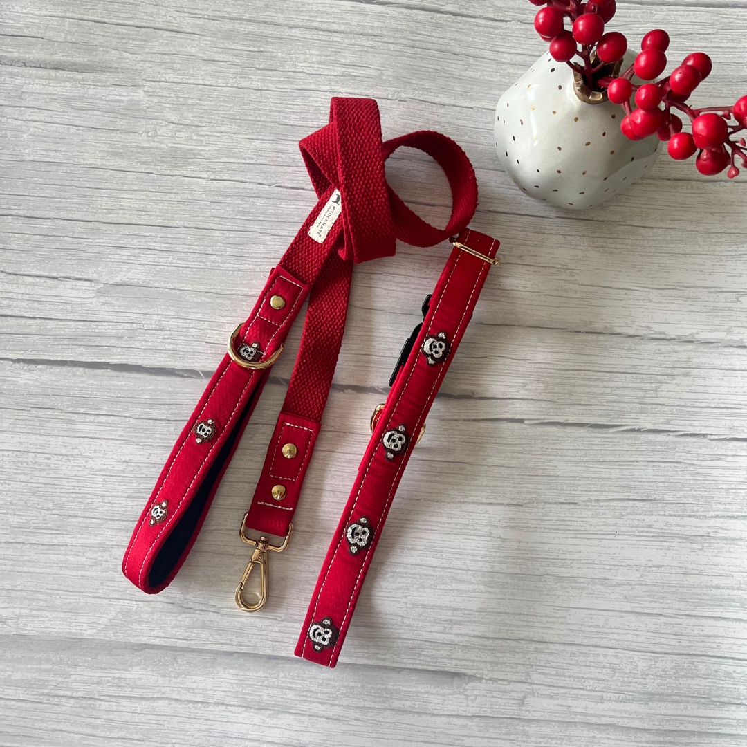 Dog Collars & Harness UAE | Dubai Online Pet Store