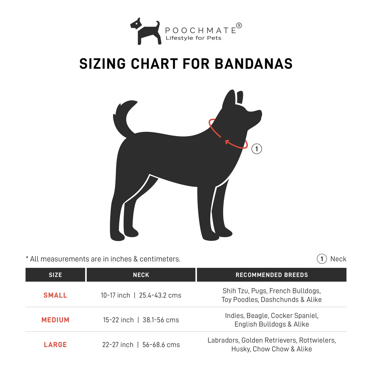 Online pet store Dubai | Dog birthday gifts Dubai