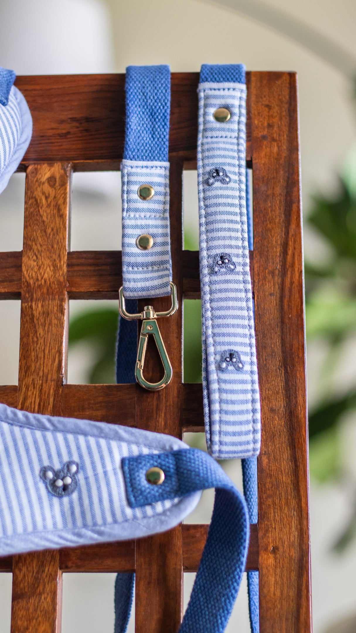 Best online pet store UAE| Dog Harness & leash Set Dubai