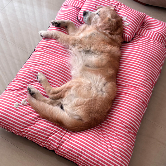 Flat Dog Beds online Dubai | Large Dog Beds online UAE