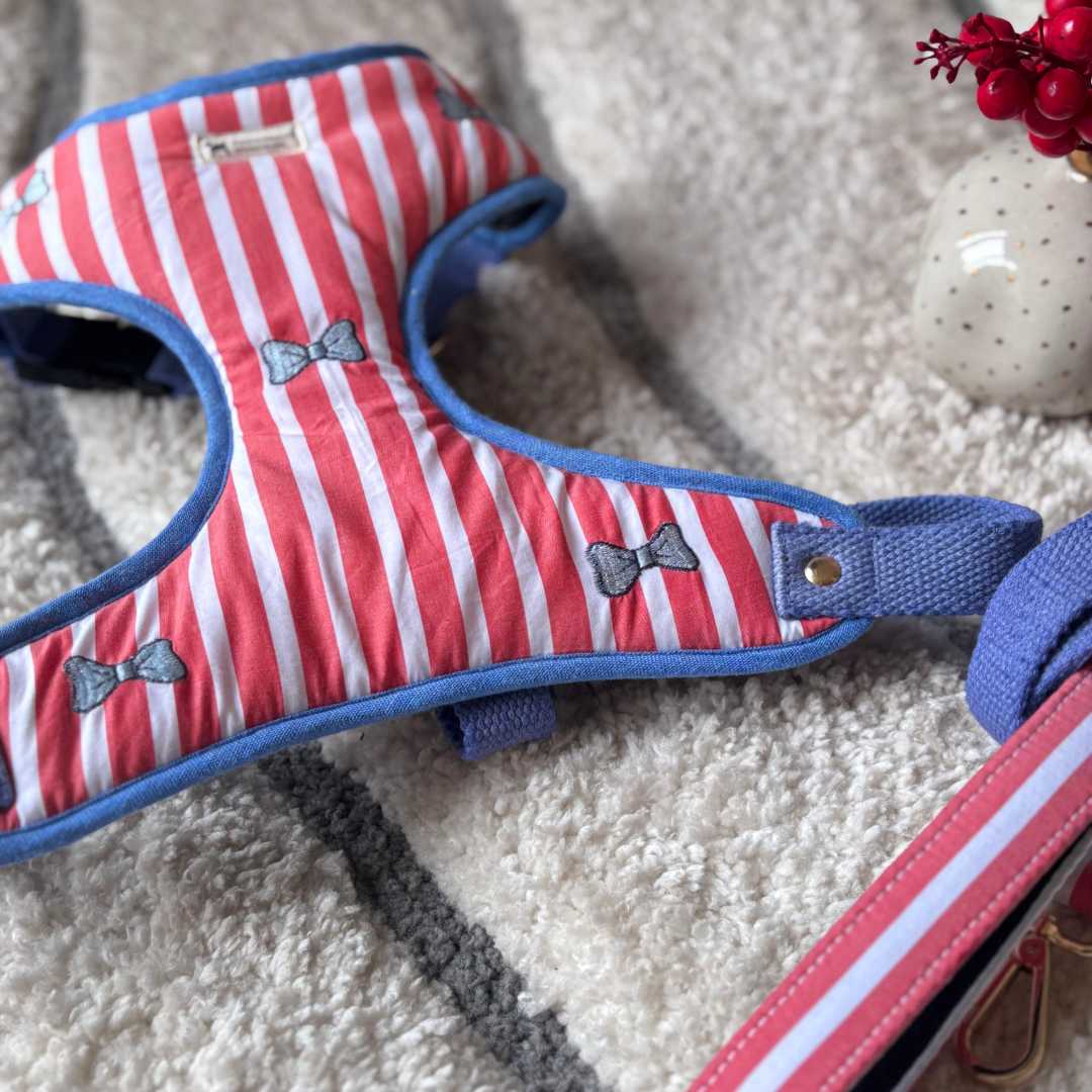 Dog Harness online Dubai | PoochMate UAE Dog Harness