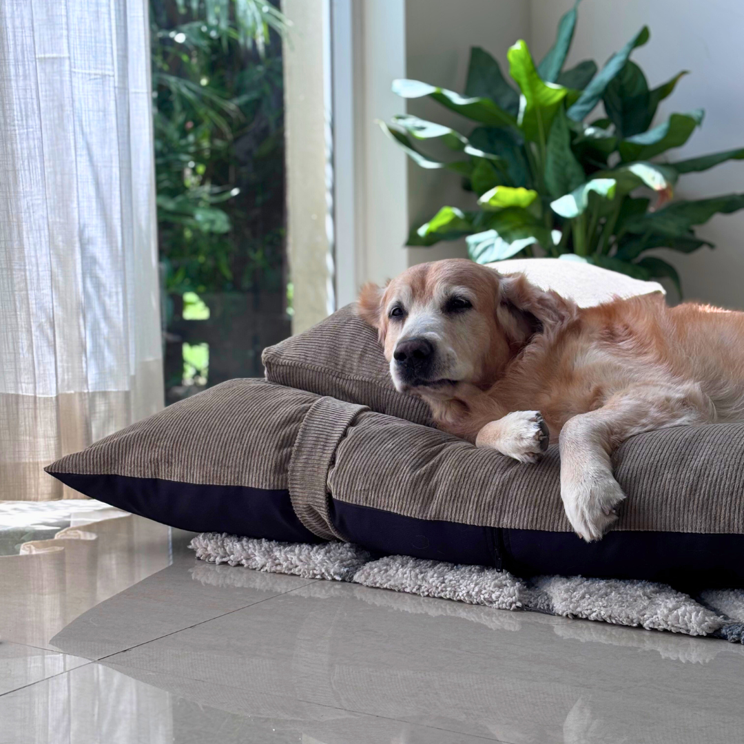 Cotton Dog Beds Dubai | Dog beds with removable covers Dubai