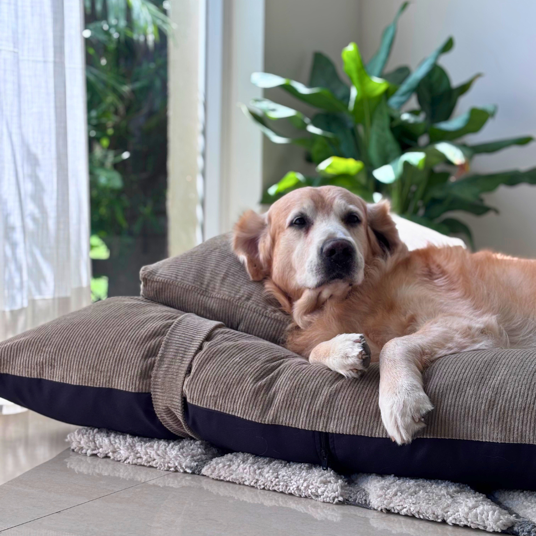 Flat Dog Beds online Dubai | Large Dog Beds online UAE