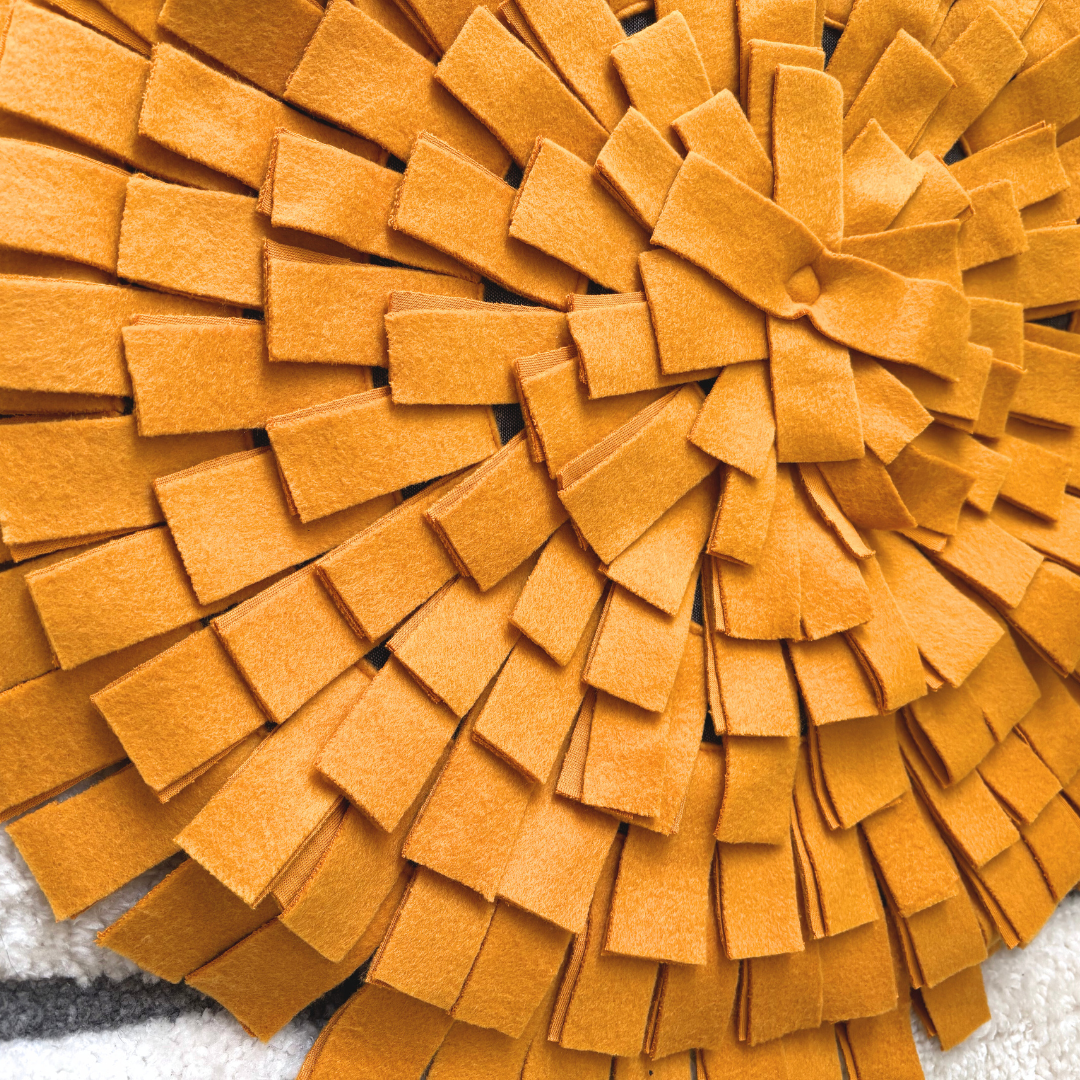 Interactive Dog Toys | Dog Play mats UAE