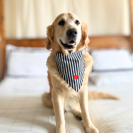 Linen dog bandana | Embroidered dog bandanas online UAE