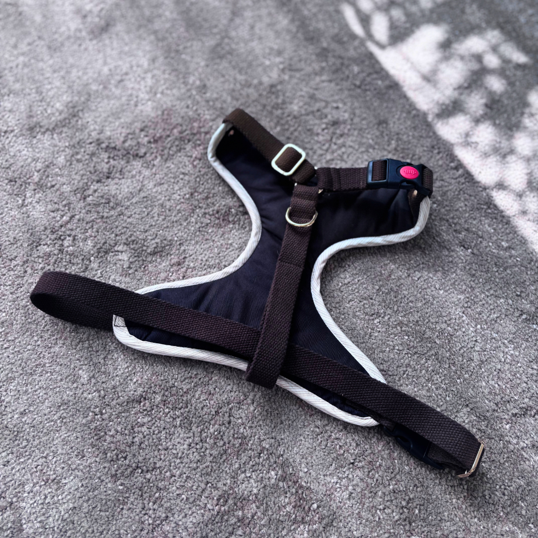 Adjustable Dog Harness & Leash | Dog Walking Harness | Cotton dog harness Dubai| Pet Harness Sets