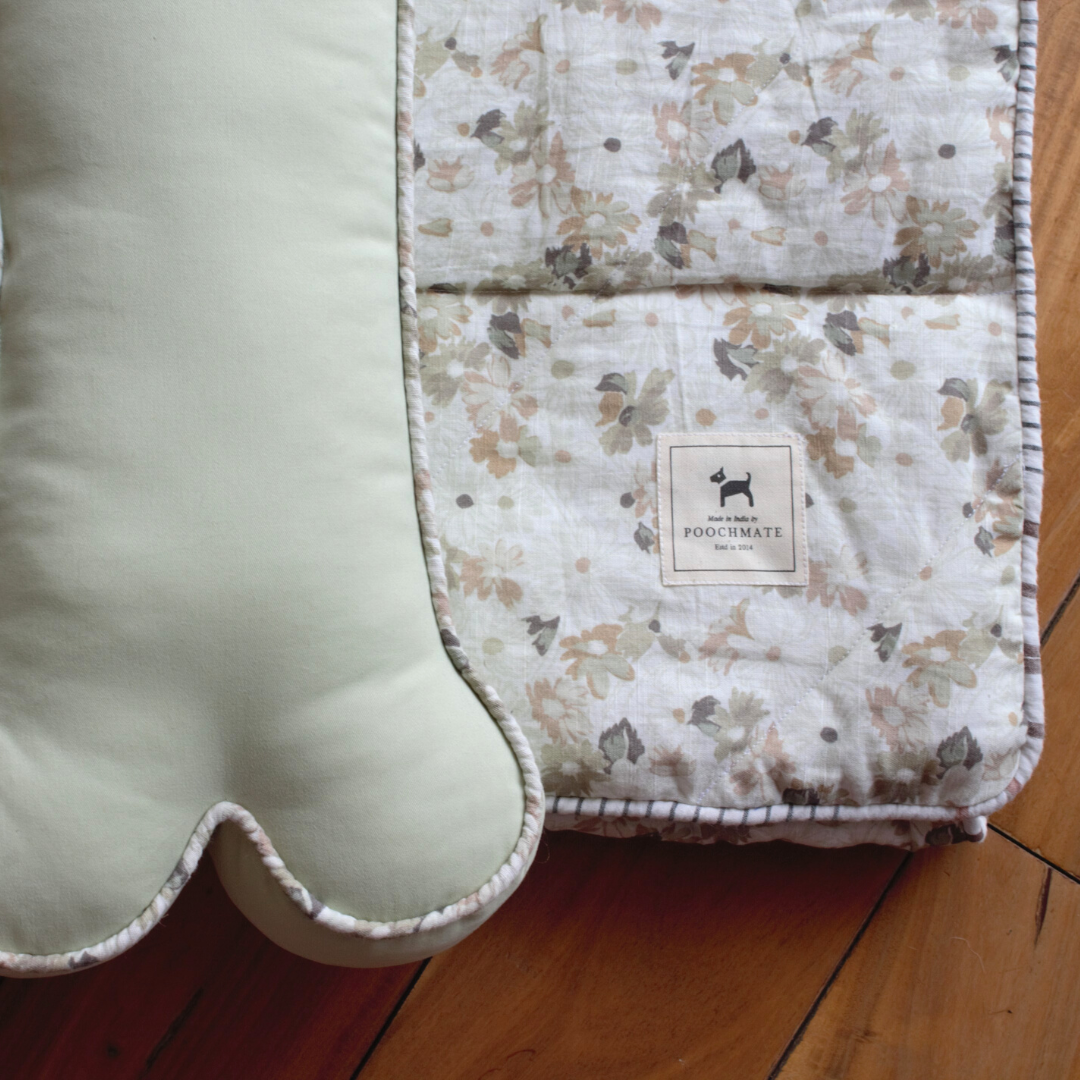 Where to buy dog beds in Dubai