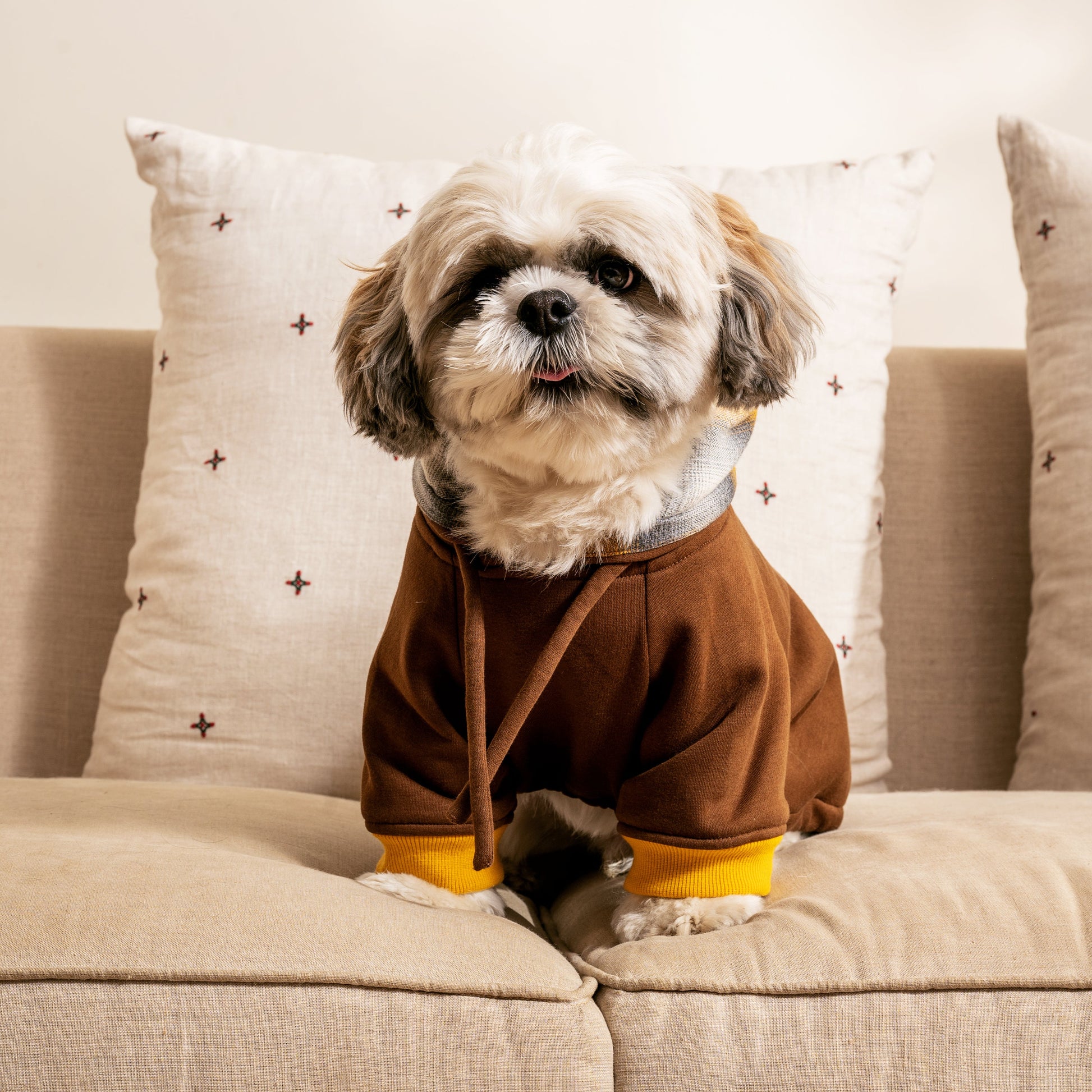 Dog Sweatshirt UAE | Buy Dog Clothes Dubai