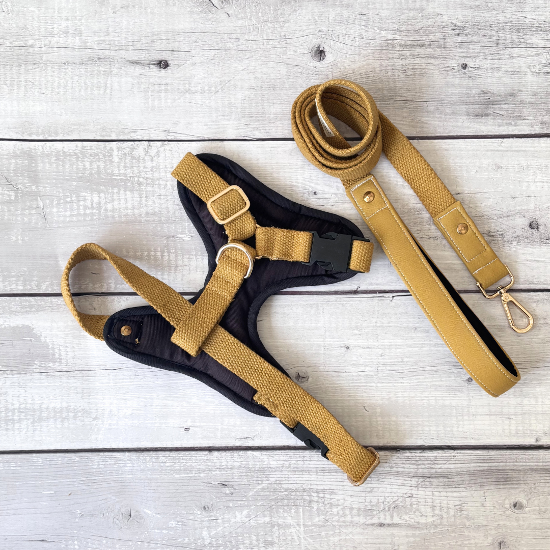 Adjustable dog harness & lead set | Dog Harness online Dubai
