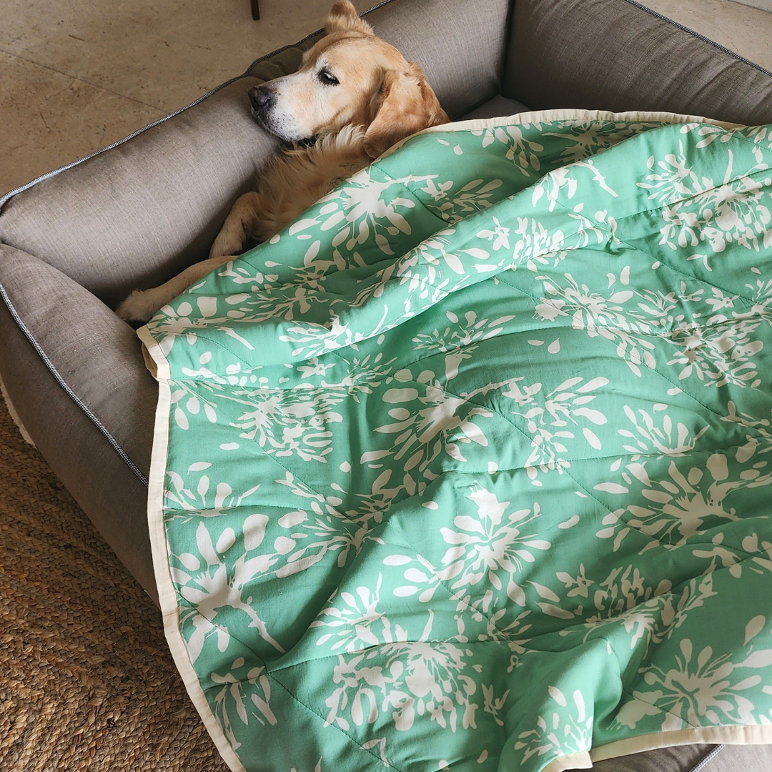 Dog Blankets Dubai | Washable cotton dog blankets Dubai