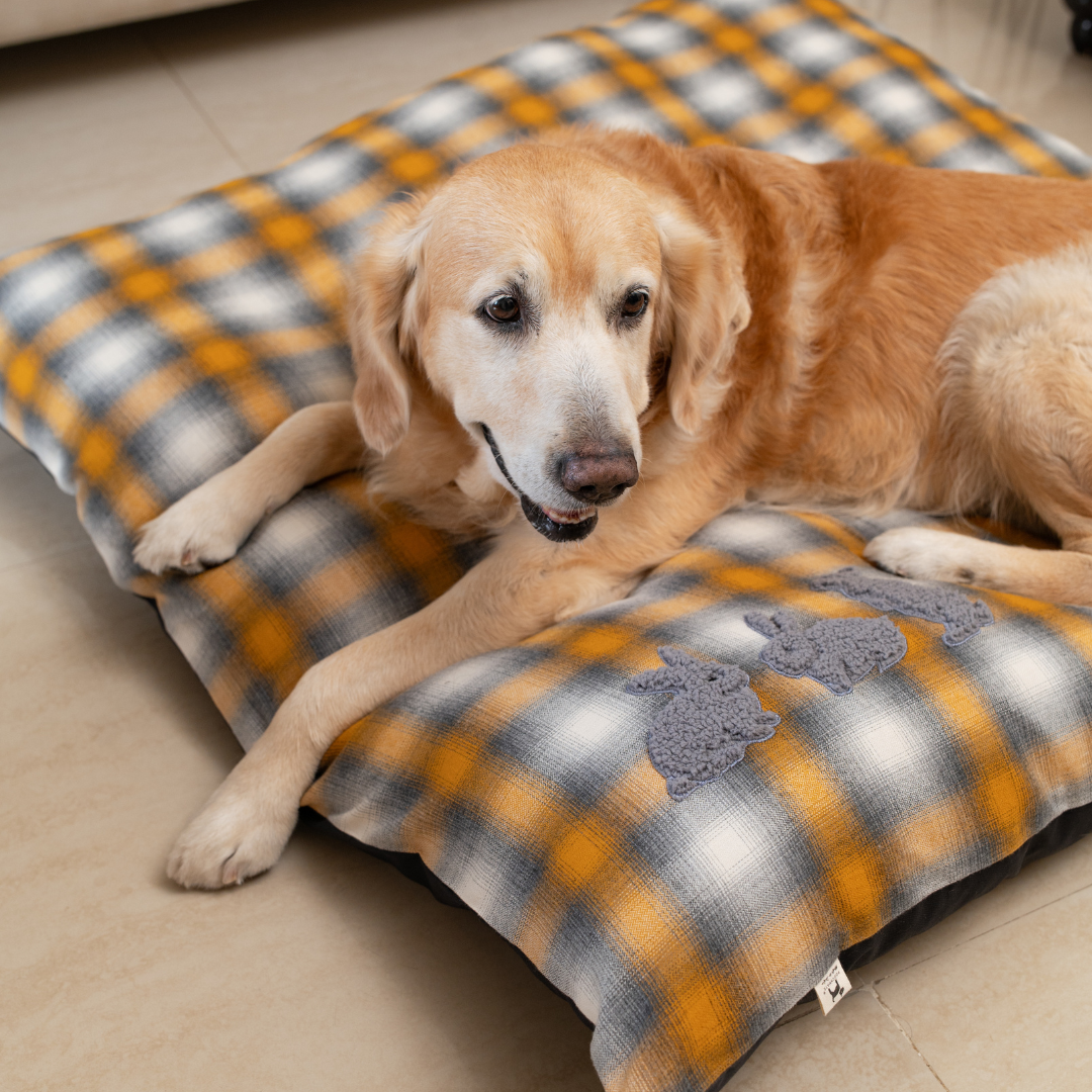 Washable Cotton dog Beds online Dubai