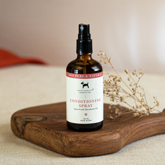 Conditioning Spray for Dogs | Dog Grooming supplies online UAE