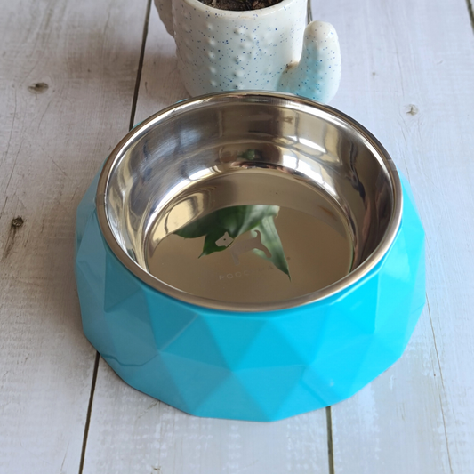 Dog Bowls online Dubai | Dog Supplies online in UAE