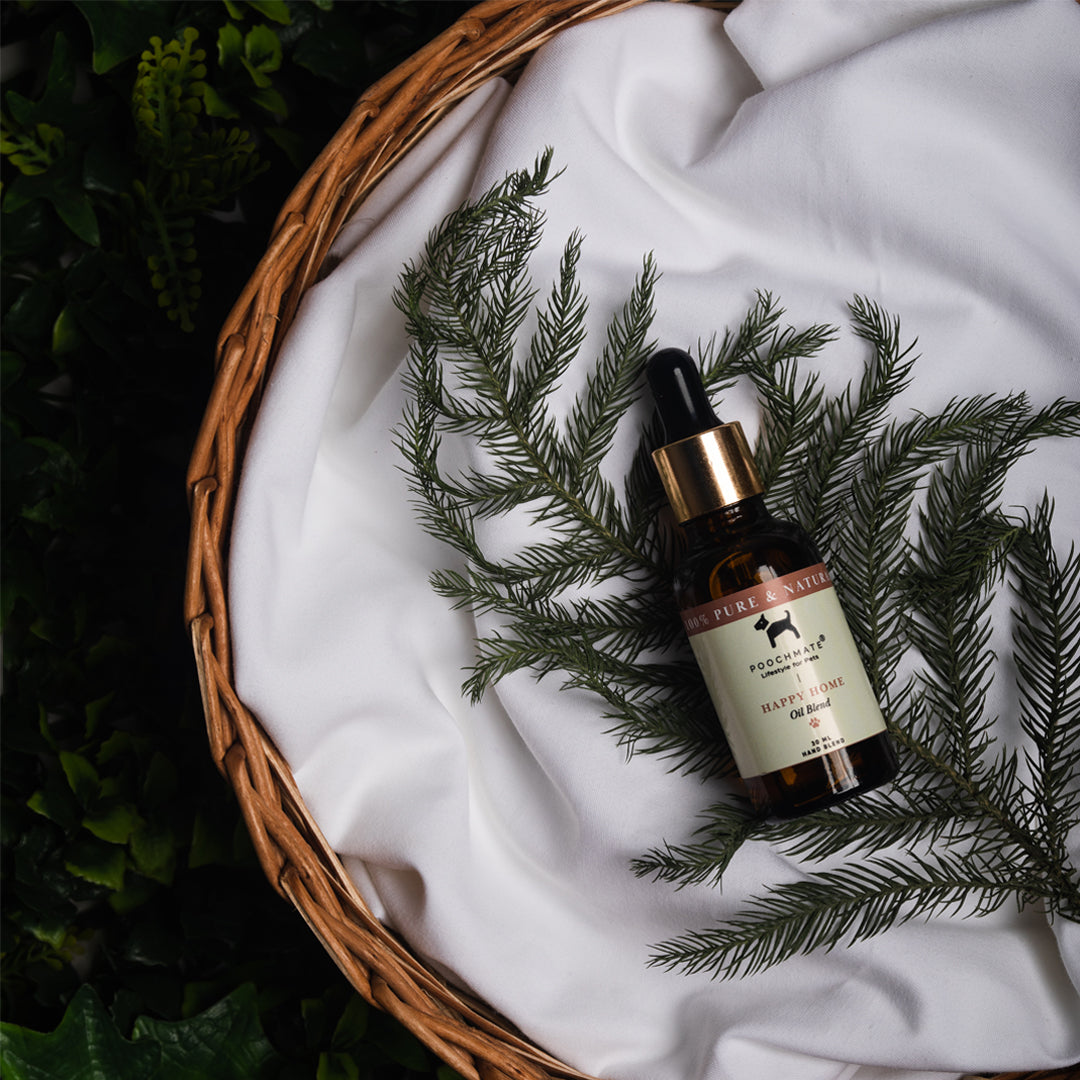 Child and Pet Safe diffuser oils UAE | Natural home fragrance online Dubai
