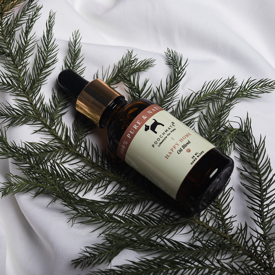 Child and Pet Safe diffuser oils UAE | Diffuser oils online UAE