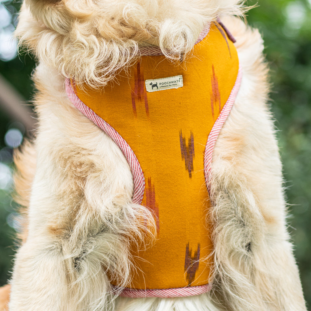 Dog Harness Dubai | Best Dog supplies stores in Dubai