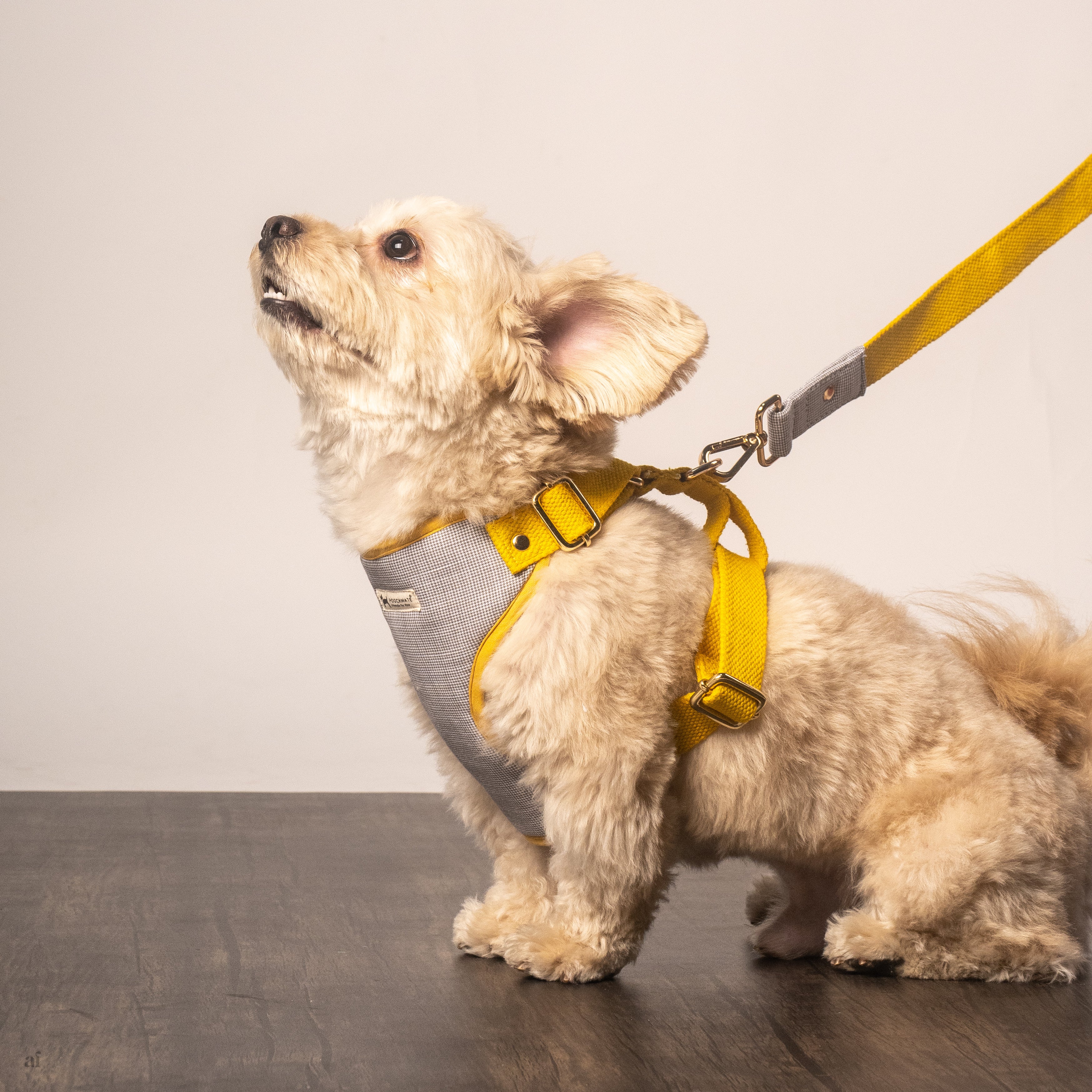 Dog Harness, Collars Leads Cotton Dog Harness online UAE, UK