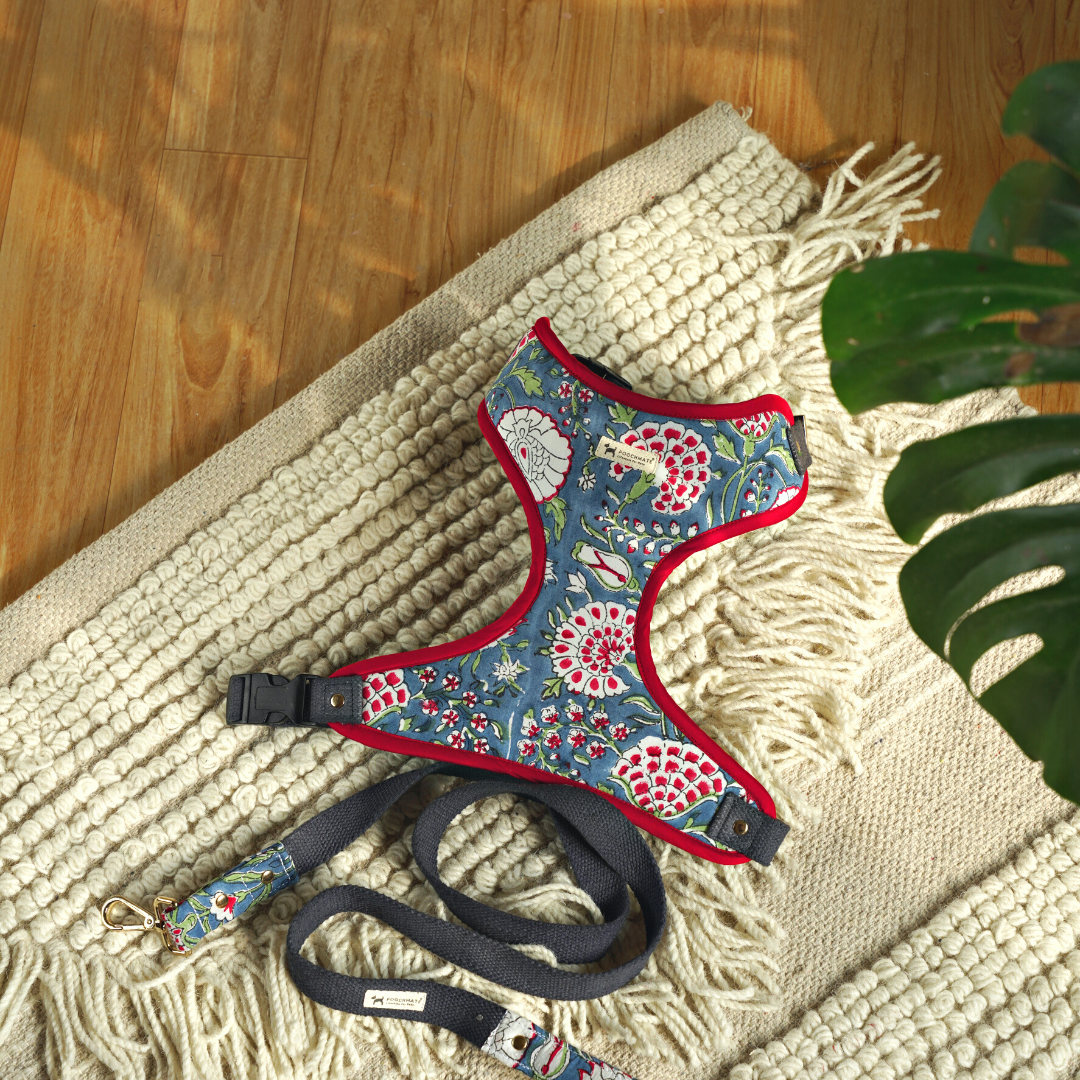 Printed dog harness & leash set Dubai