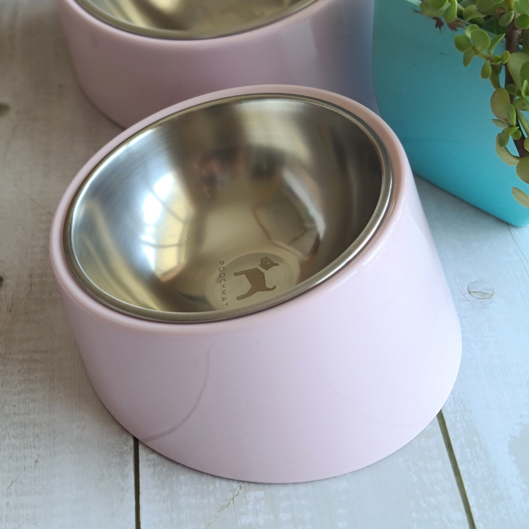 Elevated Slant bowls for Cats Flat faced dogs Dog bowls online Dubai PoochMate UAE