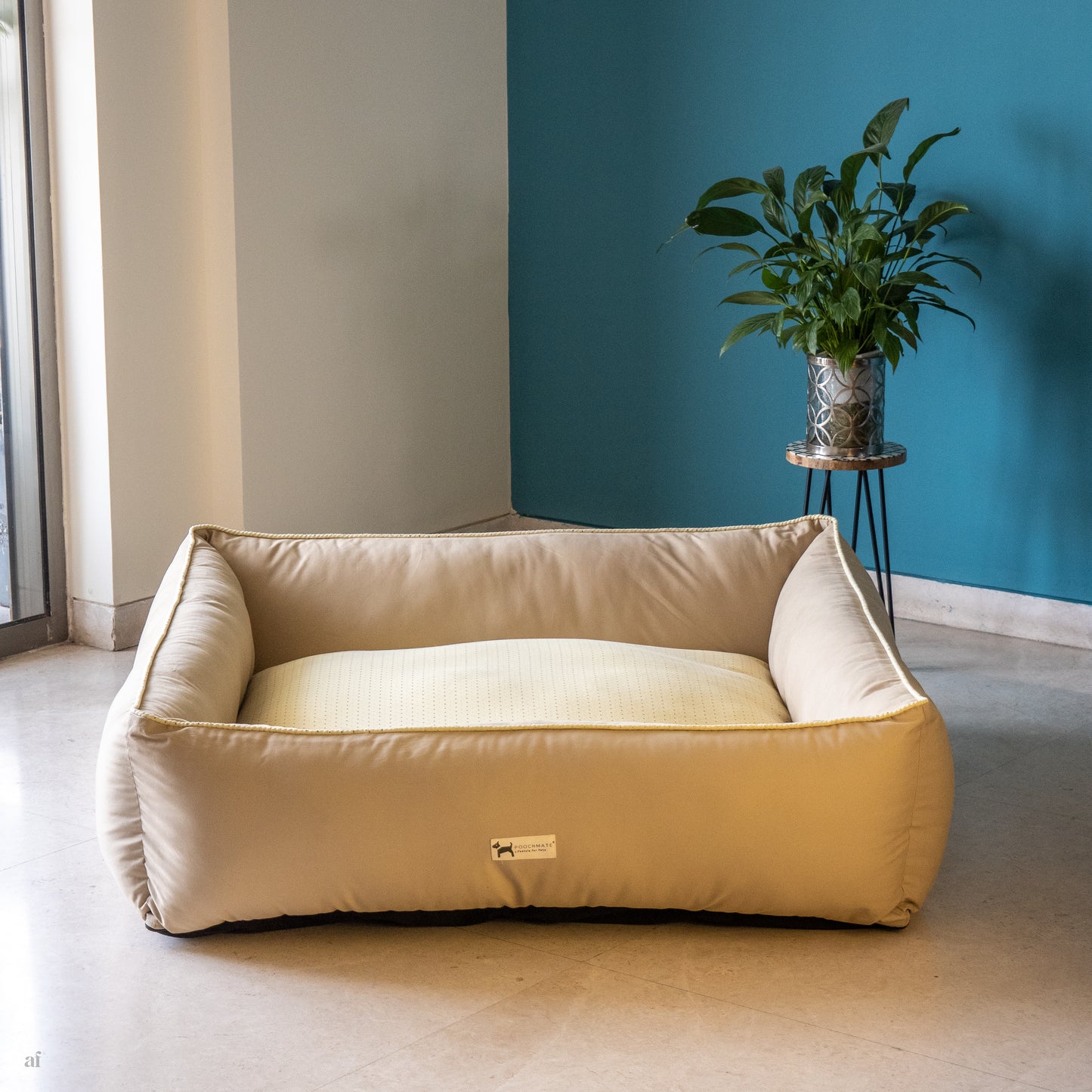 Dog beds with washable covers UAE| PoochMate UAE