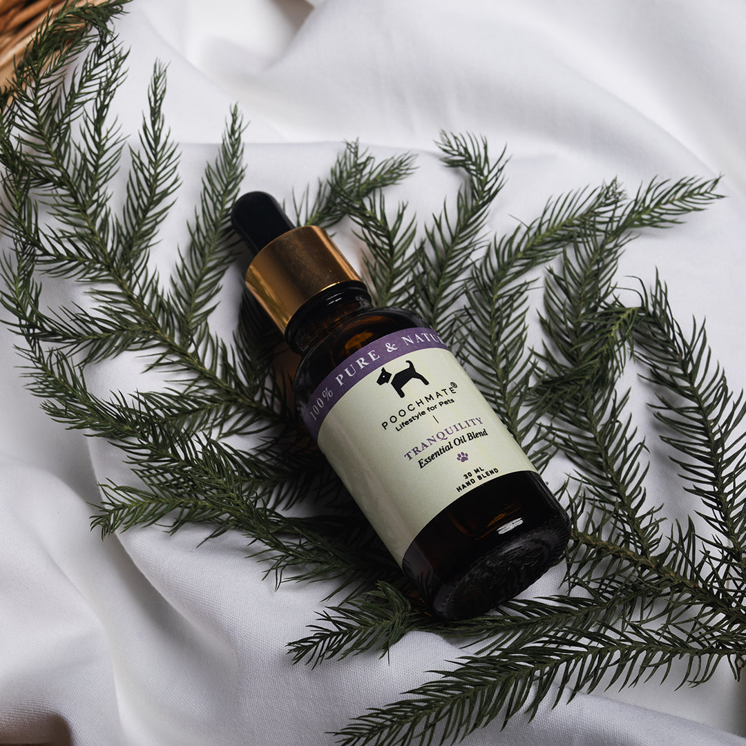 Calming diffuser oils for home online Dubai | 100% natural home fragrances online UAE