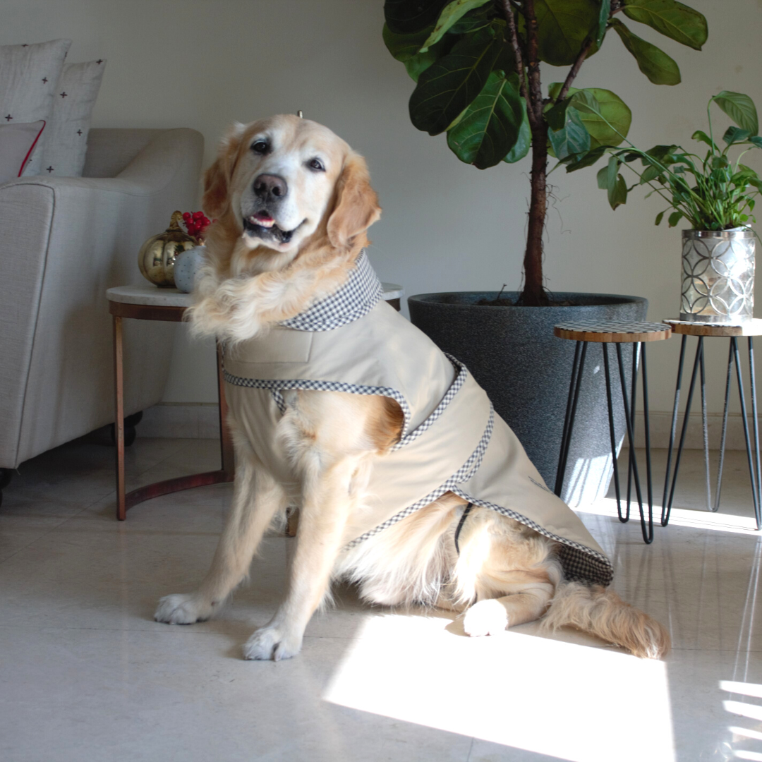 Winter clothes for dogs UAE| Luxury dog clothes online Dubai