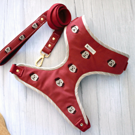 Cotton dog harness & Leash set UAE| Adjustable dog harness online UAE